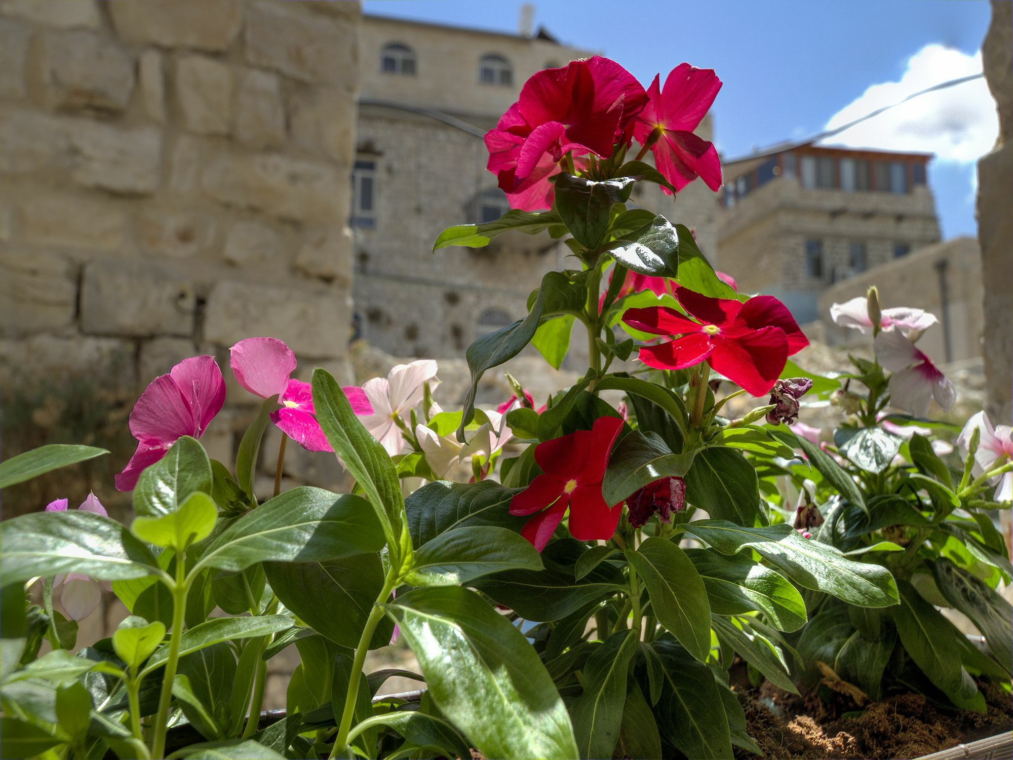 Nofesh Baatika Βίλα Safed Εξωτερικό φωτογραφία